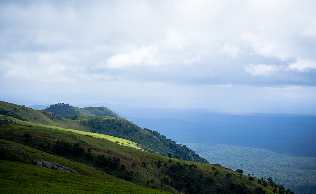 布朗本赛季第13次砍下30+，上赛季含季后赛仅10次