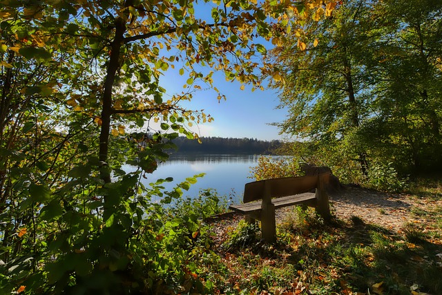 曝皇马已解雇阿隆索！踢曼城后正式官宣 42岁青训传奇任临时教练