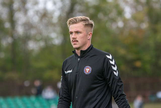 向了新的高 向了新的高