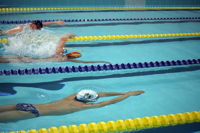 逐漸贏得了 逐漸贏得了