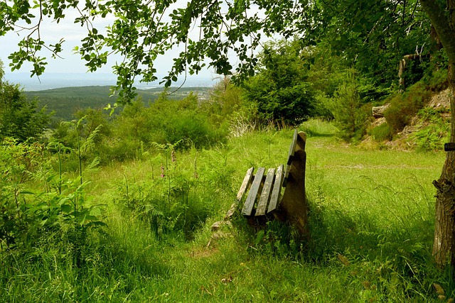 他在比赛中 他在比赛中