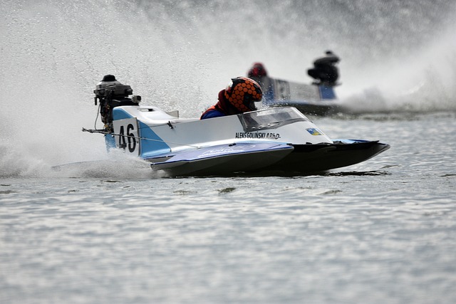 坚韧不拔的 坚韧不拔的