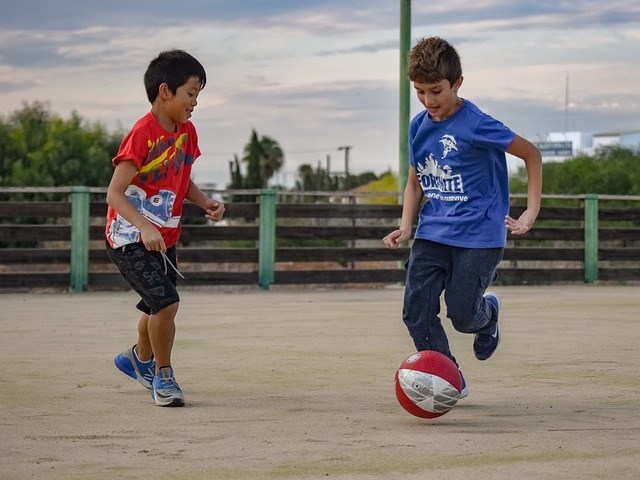 力的结合 力的结合