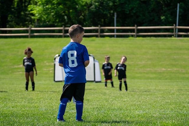 将在球迷的 将在球迷的