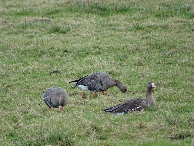 培养自身能 培养自身能