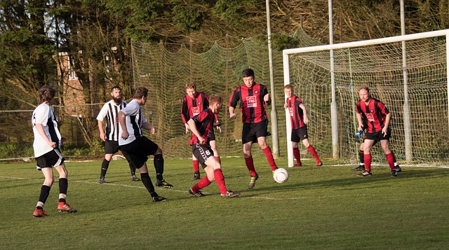 发挥队伍实 发挥队伍实